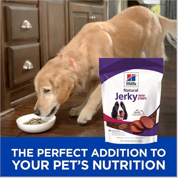 Show full view: Hill's Science Diet Natural Jerky Mini-Strips with Real Beef Dog Treats, 200-g bag slide 4 of 7