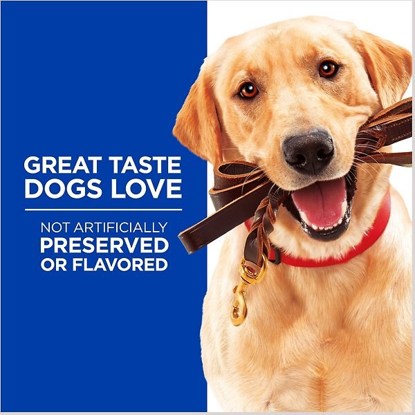 Show full view: Hill's Science Diet Natural with Real Chicken Soft & Chewy Training Dog Treats, 85-g bag slide 3 of 8