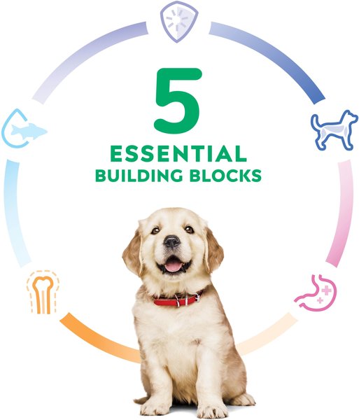 Show full view: Hill's Science Diet Puppy Large Breed Chicken Meal & Brown Rice Recipe Dry Dog Food, 7.03-kg bag slide 3 of 12