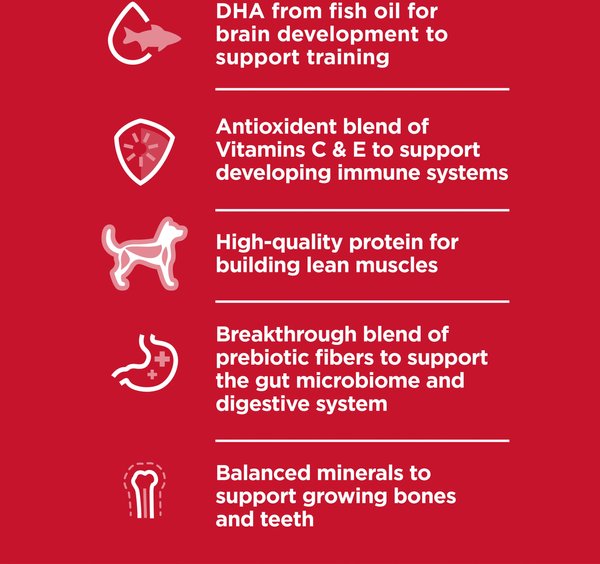 Show full view: Hill's Science Diet Puppy Large Breed Chicken Meal & Brown Rice Recipe Dry Dog Food, 7.03-kg bag slide 4 of 12