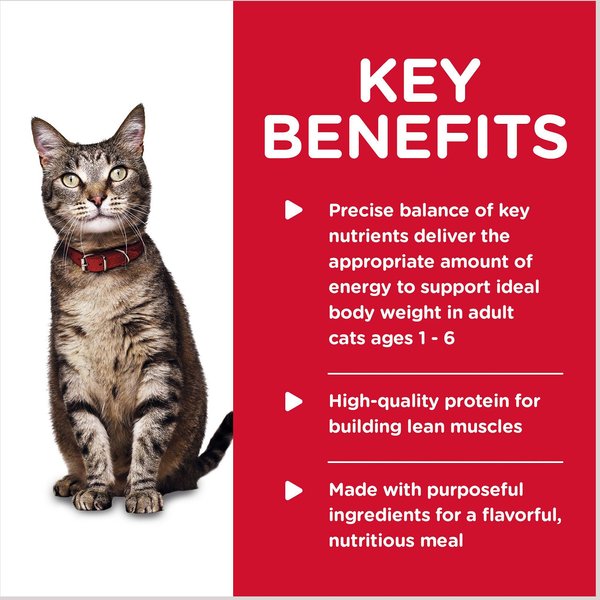 Show full view: Hill's Science Diet Adult Tender Chicken Dinner Canned Cat Food, 156-g, case of 24 slide 3 of 9