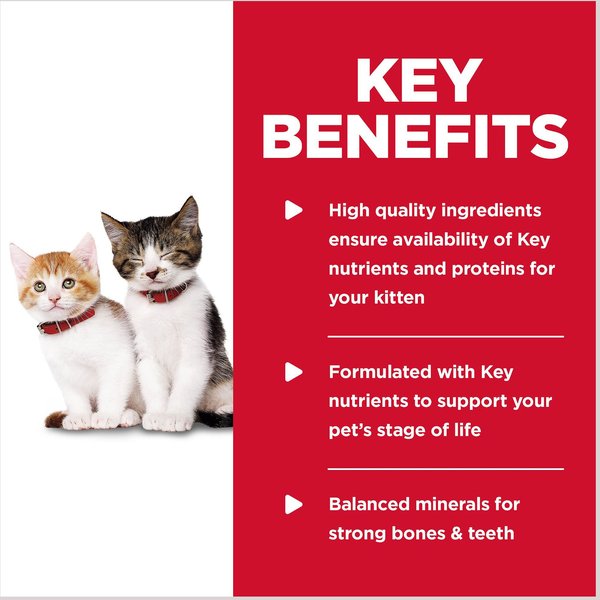 Show full view: Hill's Science Diet Kitten Tender Chicken Dinner Canned Cat Food, 156-g can, case of 24 slide 4 of 10