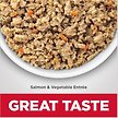 Show in main carousel: Hill's Science Diet Adult Sensitive Stomach & Sensitive Skin Salmon & Vegetable Entree Canned Dog Food, 363-g can, case of 12 slide 4 of 9