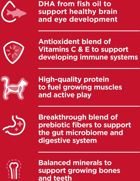 Show full view: Hill's Science Diet Kitten Healthy Cuisine Roasted Chicken & Rice Medley Canned Cat Food, 79-g can, case of 24 slide 4 of 10