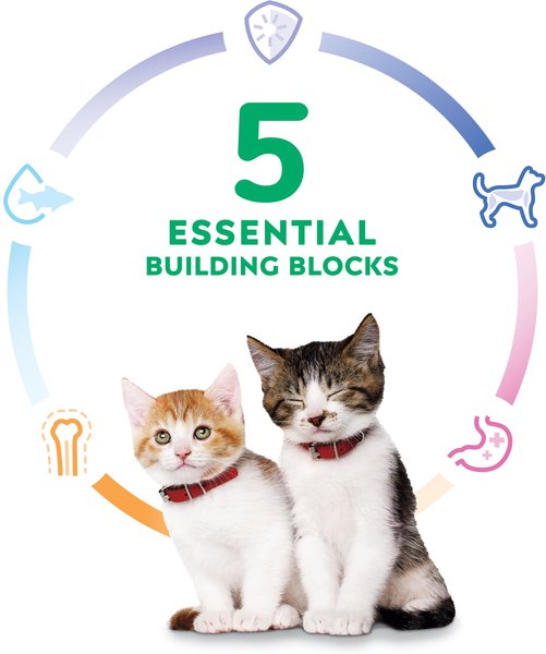 Show full view: Hill's Science Diet Kitten Healthy Cuisine Roasted Chicken & Rice Medley Canned Cat Food, 79-g can, case of 24 slide 5 of 10