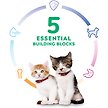 Show in main carousel: Hill's Science Diet Kitten Healthy Cuisine Roasted Chicken & Rice Medley Canned Cat Food, 79-g can, case of 24 slide 5 of 10