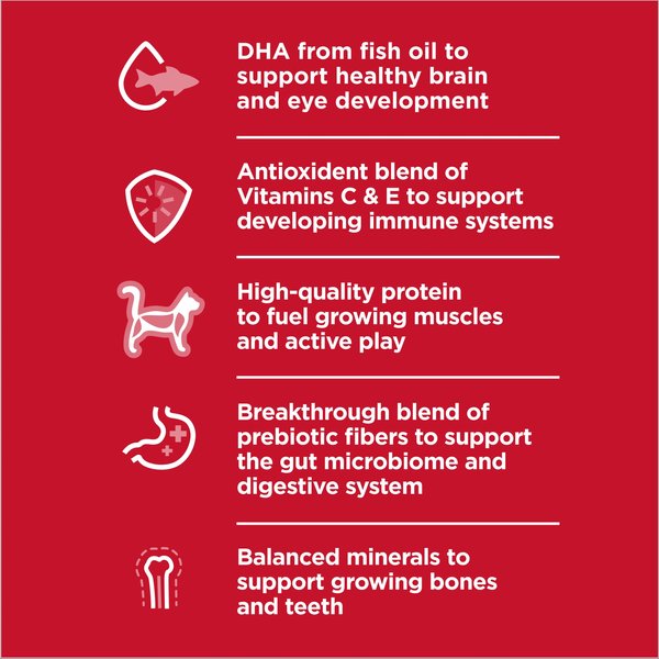 Show full view: Hill's Science Diet Kitten Liver & Chicken Entree Canned Cat Food, 82-g can, case of 24 slide 4 of 12