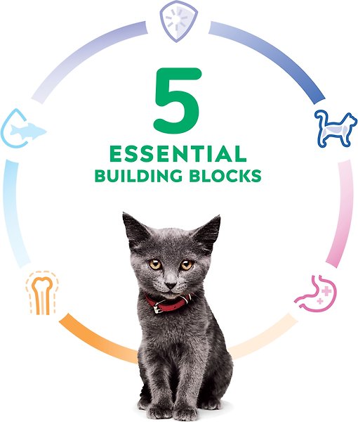 Show full view: Hill's Science Diet Kitten Liver & Chicken Entree Canned Cat Food, 82-g can, case of 24 slide 5 of 12