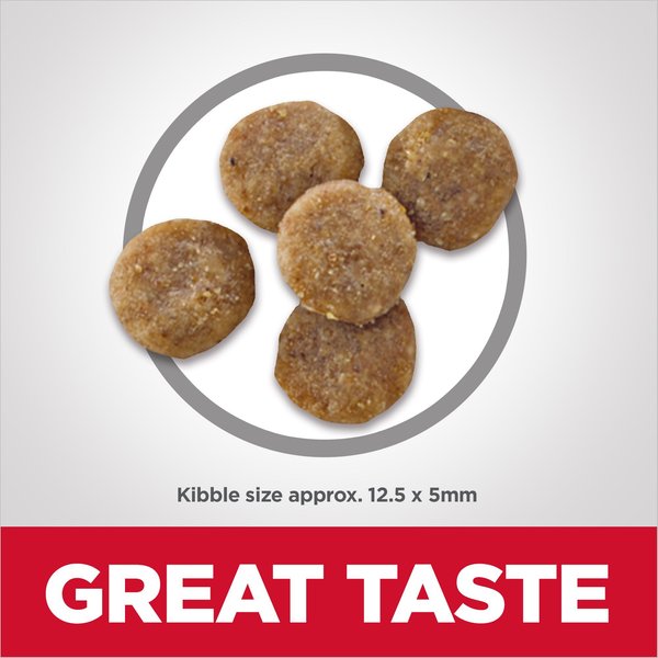 Show full view: Hill's Science Diet Adult Sensitive Stomach & Sensitive Skin Grain-Free Salmon & Yellow Pea Recipe Dry Cat Food, 5.89-kg bag slide 3 of 9