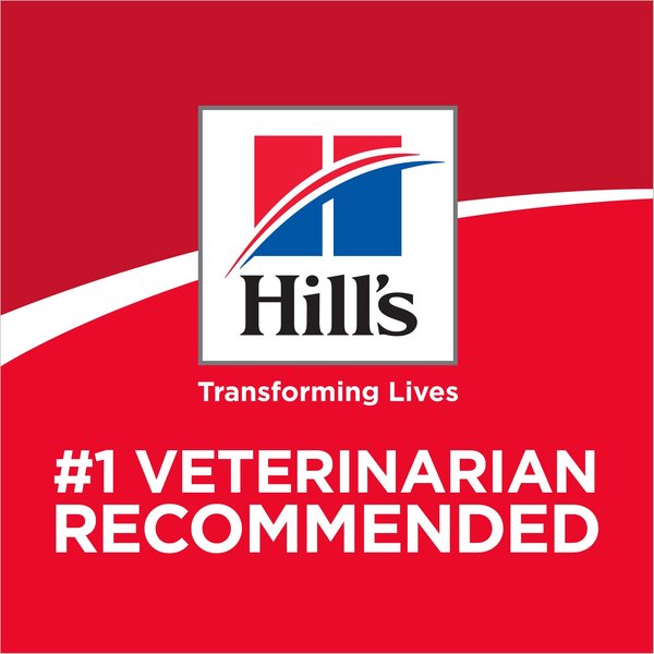 Show full view: Hill's Science Diet Adult Sensitive Stomach & Sensitive Skin Grain-Free Salmon & Yellow Pea Recipe Dry Cat Food, 5.89-kg bag slide 4 of 9