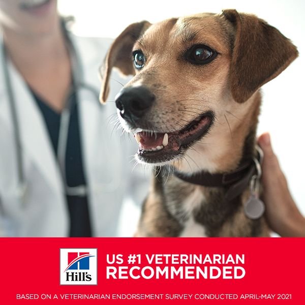 Show full view: Hill's Science Diet Adult Sensitive Stomach & Sensitive Skin Small Bites Chicken Recipe Dry Dog Food, 6.80-kg bag slide 4 of 10