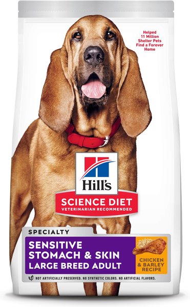 Chewy hills dog clearance food