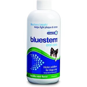 Bluestem Oral Care Vanilla Mint Flavored Dog Dental Water Additive