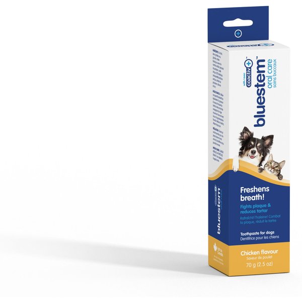 Bluestem dog outlet toothpaste