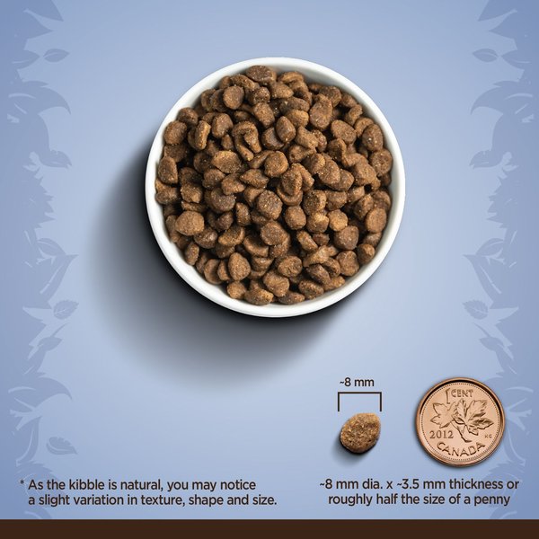 Show full view: Zoe Daily Nutrition Chicken with Sweet Potato & Quinoa Dry Cat Food, 1.36-kg bag slide 5 of 5