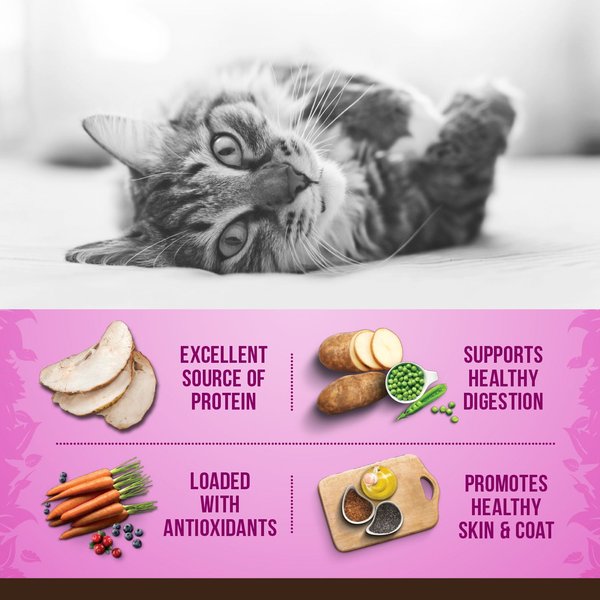 Show full view: Zoe Indoor Turkey with Peas & Russet Potato Dry Cat Food, 1.36-kg bag slide 3 of 5