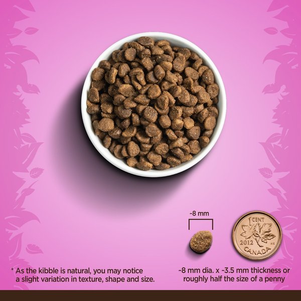 Show full view: Zoe Indoor Turkey with Peas & Russet Potato Dry Cat Food, 1.36-kg bag slide 5 of 5