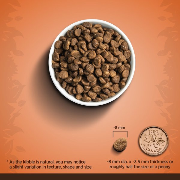 Show full view: Zoe Weight Control Turkey with Barley & Quinoa Dry Cat Food, 1.36-kg bag slide 4 of 4