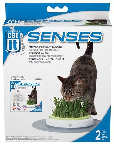 Catit shop grass kit