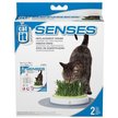 Show in main carousel: Catit Design Senses Grass Refill Grass Garden Kit slide 1 of 2
