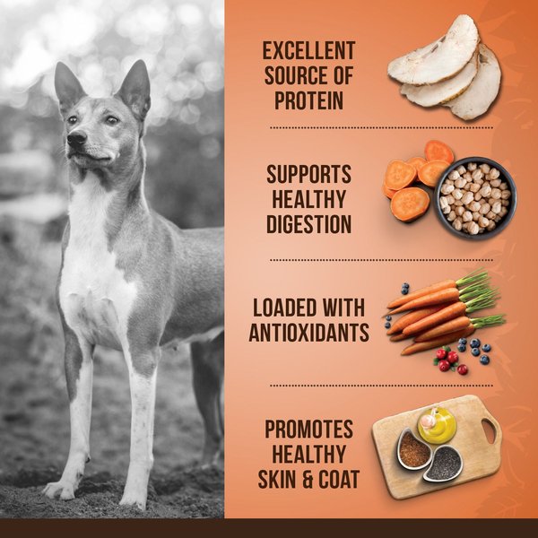 Show full view: Zoe Medium Breed Turkey with Chickpea & Sweet Potato Dry Dog Food, 5-kg bag slide 3 of 5