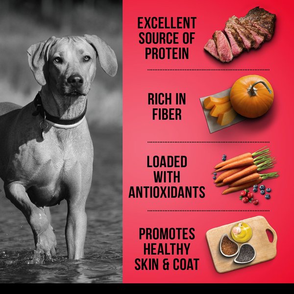 Show full view: Zoe Grain-Free Beef with Pumpkin & Peas Dry Dog Food, 5-kg bag slide 3 of 4