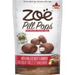 Show in main carousel: Zoe Pill Pops Grilled Beef with Ginger Dog Treats, 100-g bag slide 1 of 7