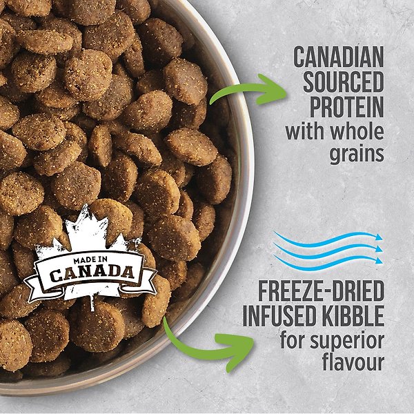 Show full view: Nutrience Infusion Healthy Puppy Chicken Recipe Dry Dog Food, 10-kg bag slide 3 of 9