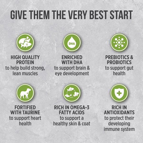 Show full view: Nutrience Infusion Healthy Puppy Chicken Recipe Dry Dog Food, 10-kg bag slide 7 of 9