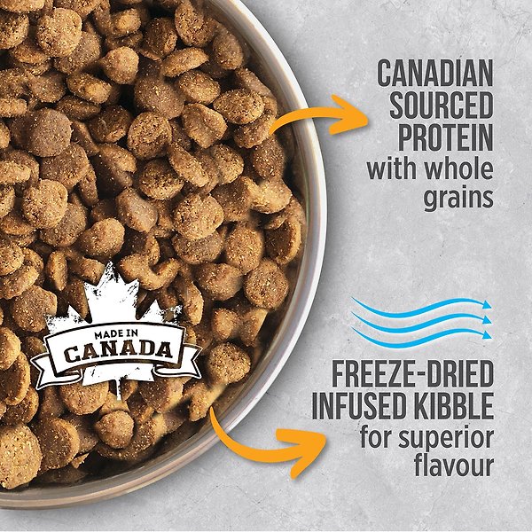 Show full view: Nutrience Infusion Adult Small Breed Chicken Dry Dog Food, 5-kg bag slide 3 of 9