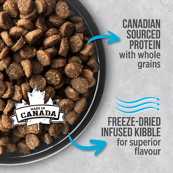 Show full view: Nutrience Infusion Healthy Adult Dog Ocean Fish Dry Dog Food, 2.27-kg bag slide 3 of 8