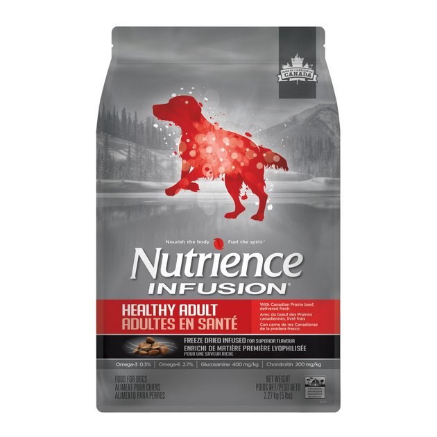 Nutrience infusion hot sale puppy food