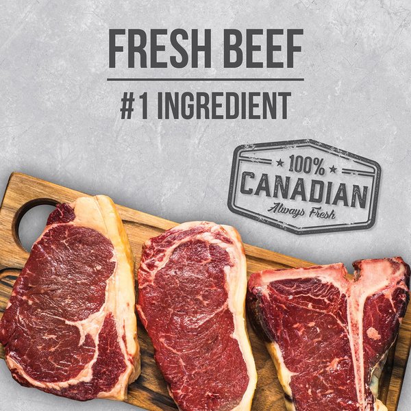 Show full view: Nutrience Infusion Healthy Adult Beef Dry Dog Food, 2.27-kg bag  slide 8 of 8