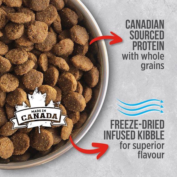 Show full view: Nutrience Infusion Healthy Adult Beef Dry Dog Food, 10-kg bag slide 3 of 9