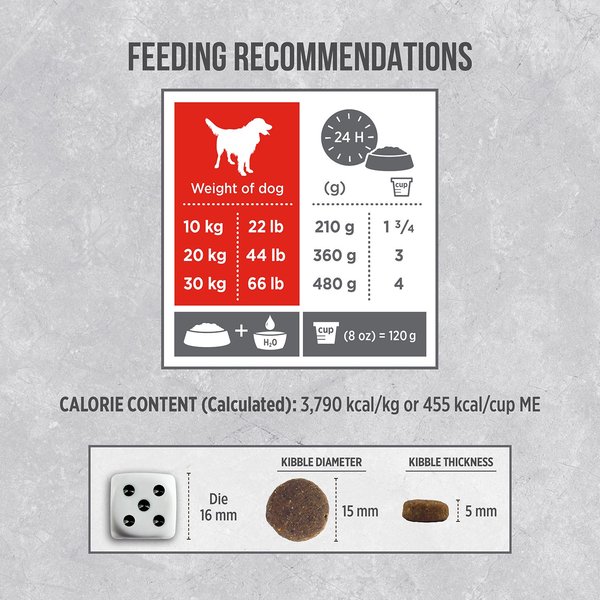 Show full view: Nutrience Infusion Healthy Adult Beef Dry Dog Food, 10-kg bag slide 5 of 9