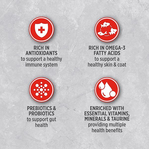 Show full view: Nutrience Infusion Healthy Adult Beef Dry Dog Food, 10-kg bag slide 9 of 9