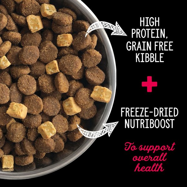 Show full view: Nutrience SubZero Prairie Red Grain-Free Dry Dog Food, 10-kg bag slide 8 of 9