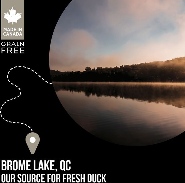 Show full view: Nutrience SubZero Northern Lakes Grain-Free Duck & Rainbow Trout Dry Dog Food, 10-kg bag slide 6 of 9