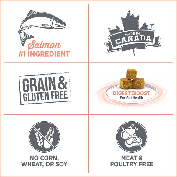 Show full view: Nutrience Care Dog Sensitive Skin & Stomach Dry Dog Food, 2.27-kg bag slide 7 of 7