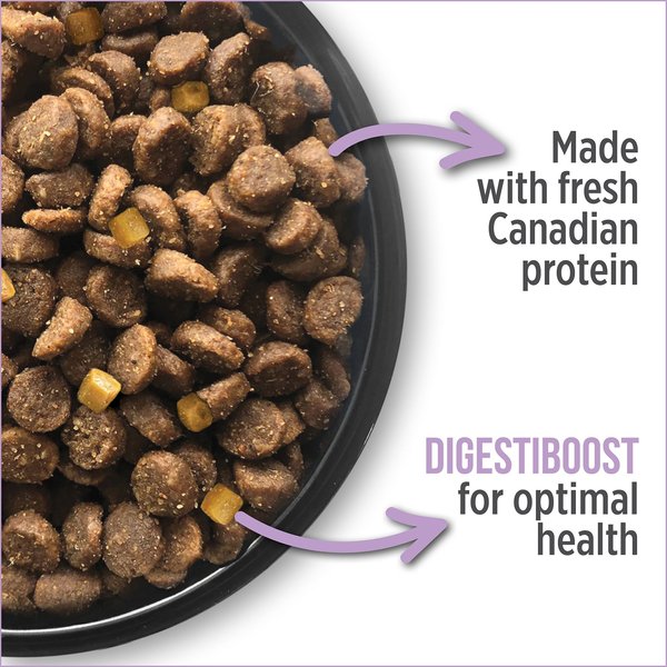 Show full view: Nutrience Care Dog Weight Management Dry Dog Food, 10-kg bag slide 5 of 7