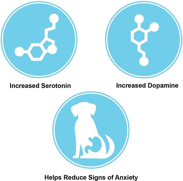 Show full view: Nutrience Care Dog Calm & Comfort Dry Dog Food, 10-kg bag slide 3 of 9