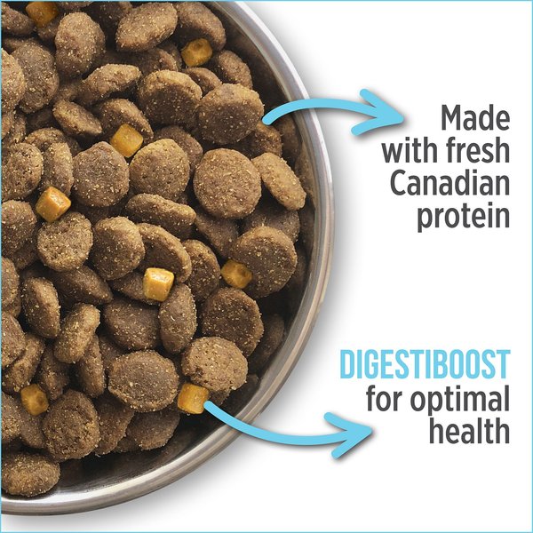 Show full view: Nutrience Care Dog Calm & Comfort Dry Dog Food, 10-kg bag slide 5 of 9