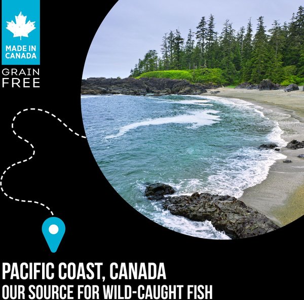 Show full view: Nutrience SubZero Canadian Pacific Grain-Free Dry Dog Food, 10-kg bag slide 6 of 10