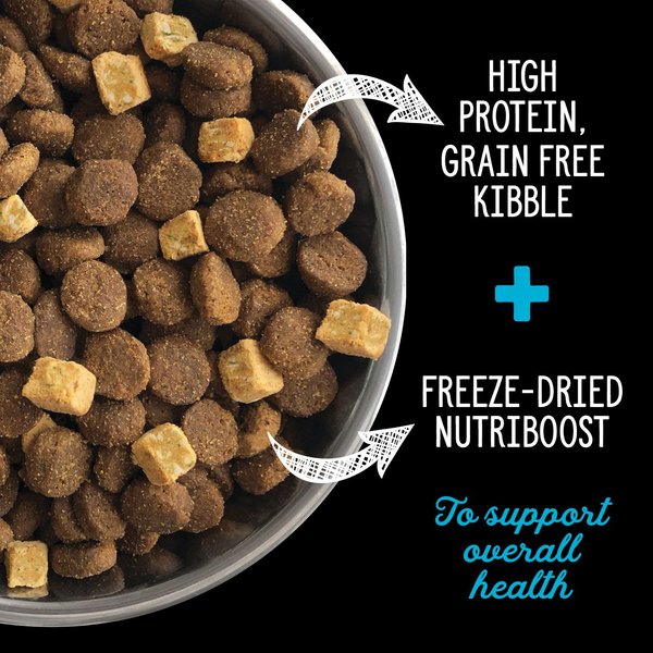 Show full view: Nutrience SubZero Canadian Pacific Grain-Free Dry Dog Food, 10-kg bag slide 8 of 10