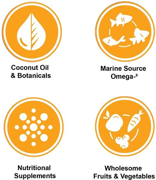 Show full view: Nutrience Infusion Large Breed Chicken Dry Dog Food, 10-kg bag slide 6 of 8