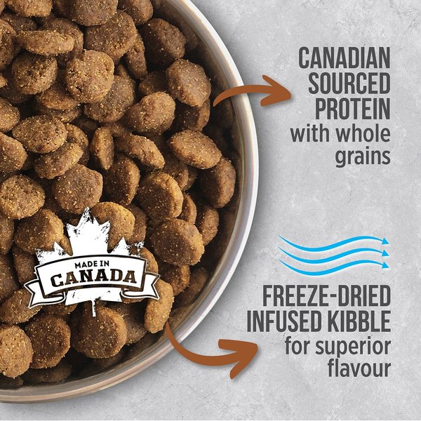 Show full view: Nutrience Infusion Senior Chicken Recipe Dry Dog Food, 10-kg bag slide 3 of 9