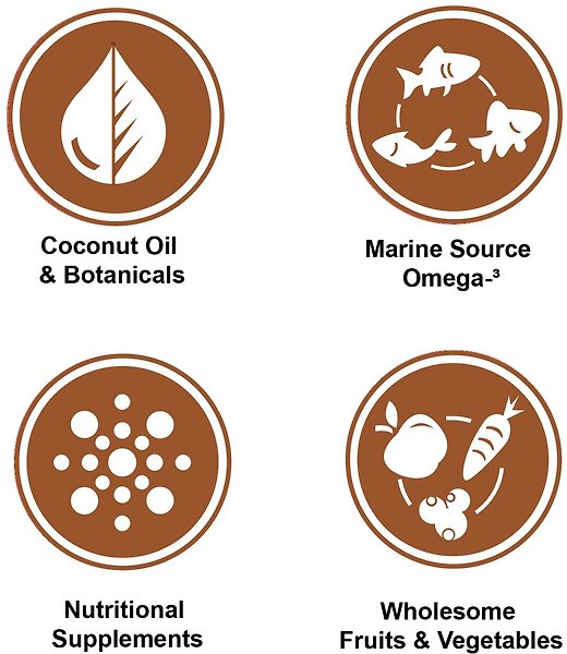 Show full view: Nutrience Infusion Senior Chicken Recipe Dry Dog Food, 10-kg bag slide 7 of 9