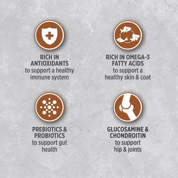 Show full view: Nutrience Infusion Senior Chicken Recipe Dry Dog Food, 10-kg bag slide 8 of 9