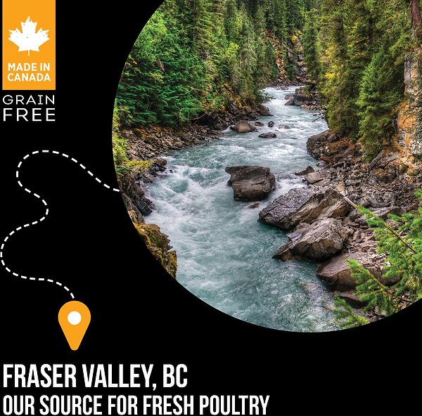 Show full view: Nutrience SubZero Fraser Valley Large Breed Grain-Free Dry Dog Food, 10-kg bag slide 6 of 9