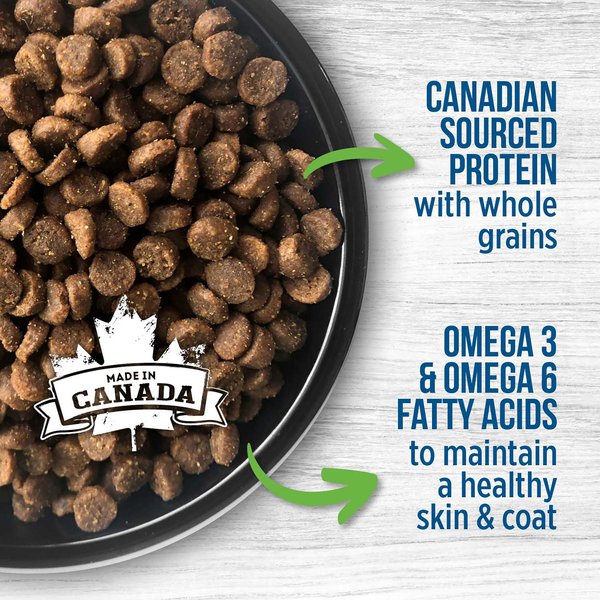 Show full view: Nutrience Original Puppy Chicken Dry Dog Food, 11.5-kg bag slide 3 of 6